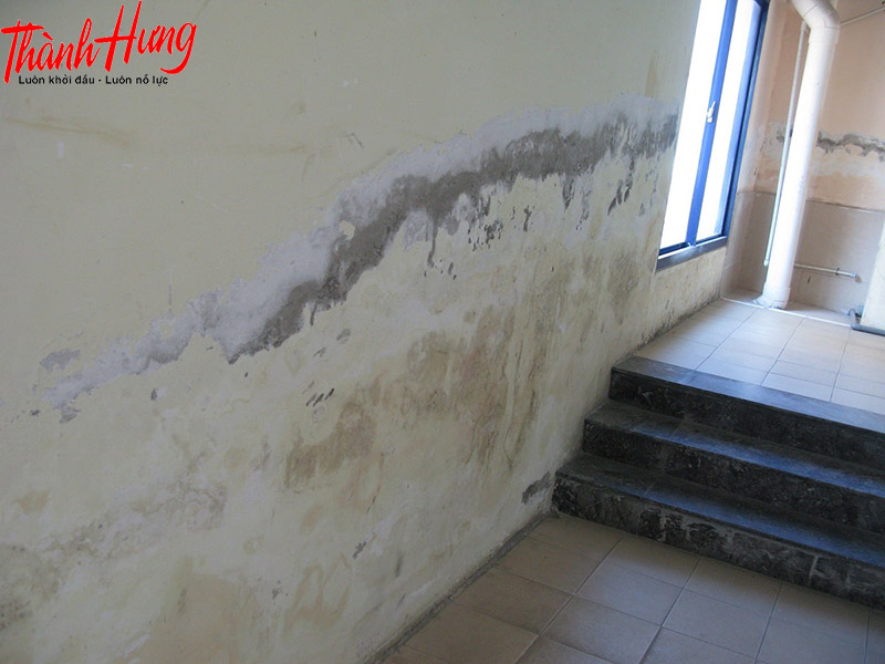 Có rất nhiều nguyên nhân khiến cho nhà và công trình của bạn bị ẩm mốc Có rất nhiều nguyên nhân khiến cho nhà và công trình của bạn bị ẩm mốc