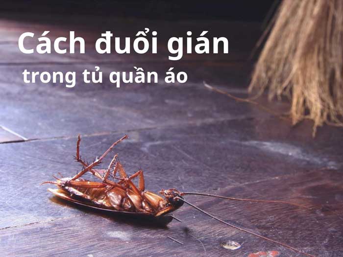 Cách phòng gián quay lại tủ quần áo Cách phòng gián quay lại tủ quần áo